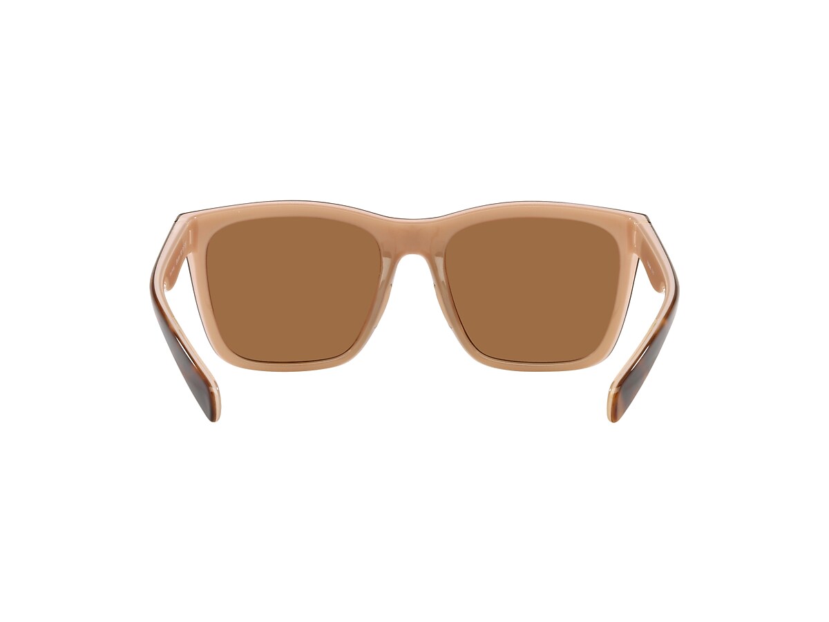Braiden Sunglasses Brown | Native Eyewear® display picture 1