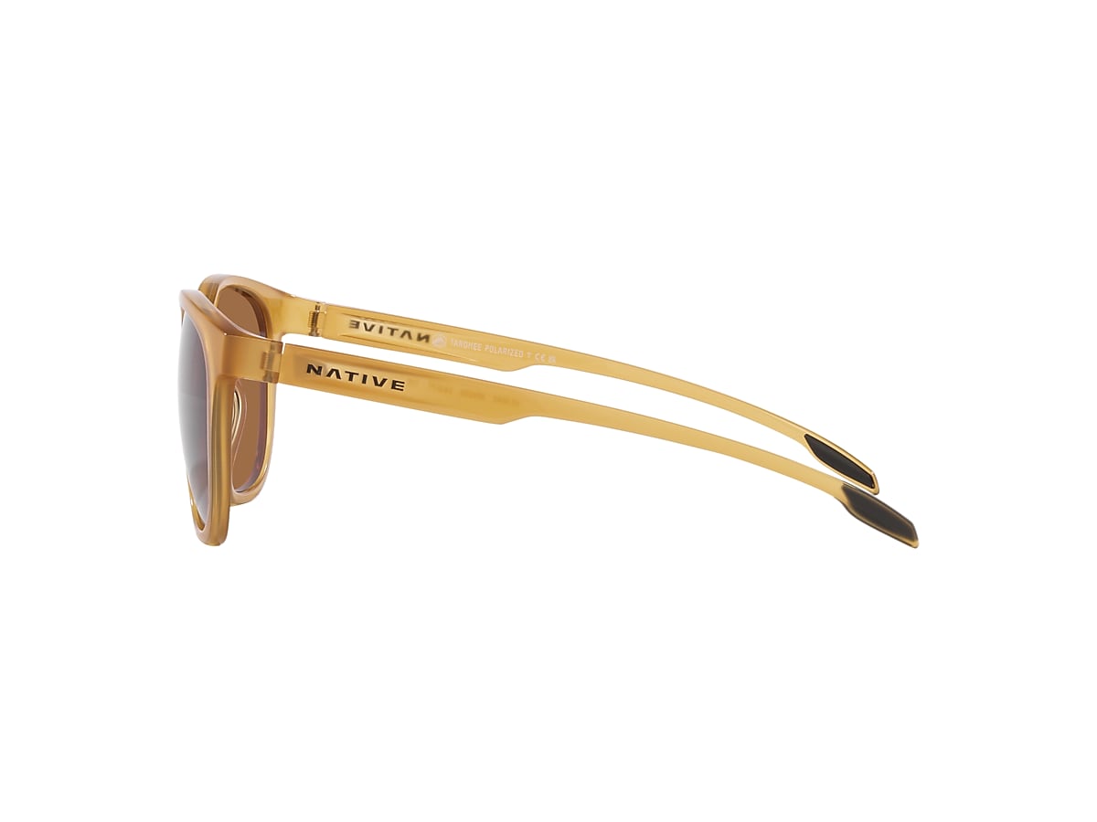 Targhee Sunglasses in Brown | Native Eyewear®